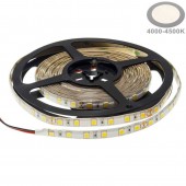 Tira Led 24VDC 16W IP65 120° SMD5054 80W - 4