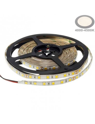 Tira Led 24VDC 16W IP65 120° SMD5054 80W - 4