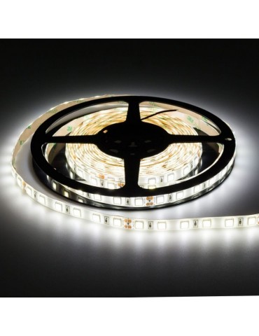 Tira Led 24VDC 16W IP65 120° SMD5054 80W - 5