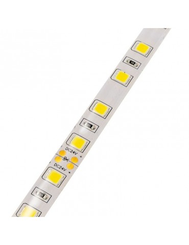 Tira Led 24VDC 16W IP65 120° SMD5054 80W - 9