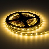 Tira Led 24VDC 16W IP65 120° SMD5054 80W - 8