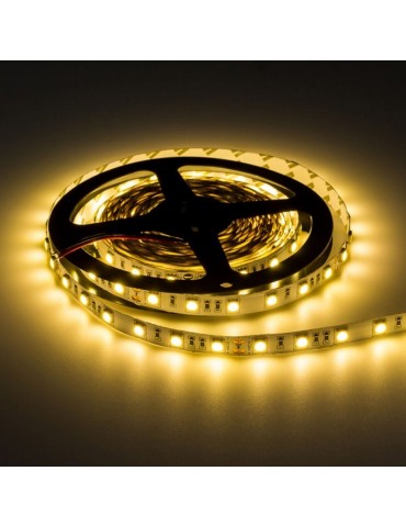 Tira Led 24VDC 16W IP65 120° SMD5054 80W - 8