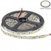 Tira Led 24VDC 14,4W/M IP20 120° Luz Blanca SMD5050 - 7