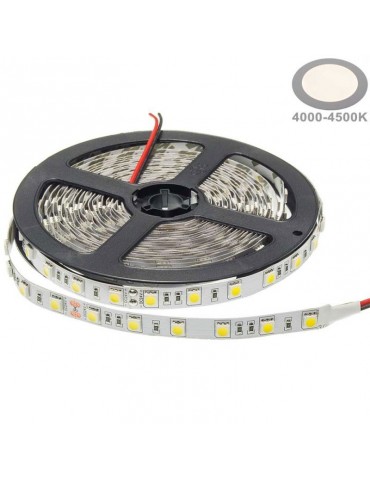 Tira Led 24VDC 14,4W/M IP20 120° Luz Blanca SMD5050 - 7