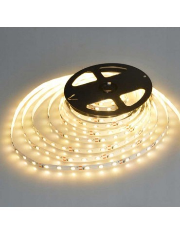 Tira Led 12V 48W 600Led 2650lm 5M SMD2835 - 8