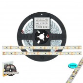 Tira Led 12V 48W 600Led 2650lm 5M SMD2835 - 3