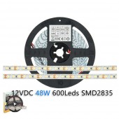 Tira Led 12V 48W 600Led 2650lm 5M SMD2835 - 1