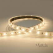 Tira Led 12V 24W 300Led 950lm 5M SMD2835 - 6