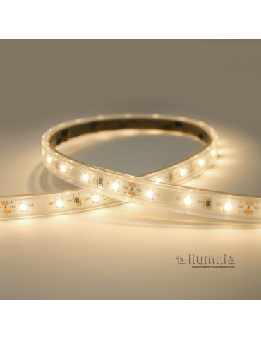 Tira Led 12V 24W 300Led 950lm 5M SMD2835 - 6