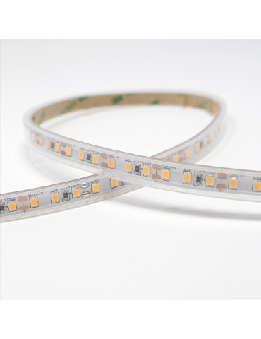 Tira Led 12V 48W IP65 600Led 9,6W/m 5M SMD2835 - 7
