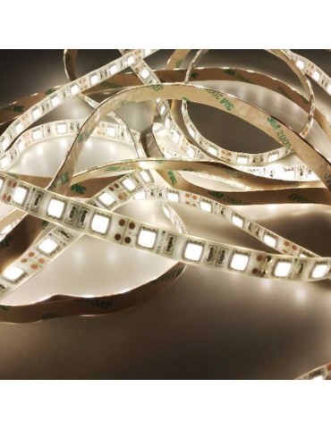 Tira Led 12VDC 7,2W/M IP20 120° Luz Blanca SMD5050 - 6