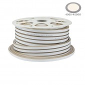 TIRA LED NEON FLEX 12V IP65 NEUTRA 4000K - 3