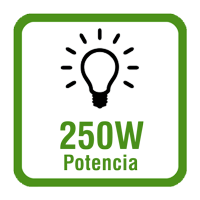 250w