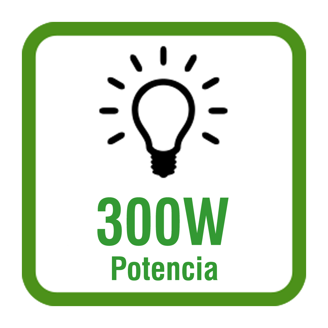 300w
