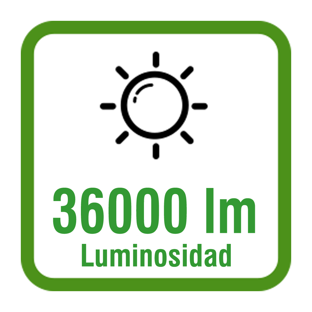 lm24000.png